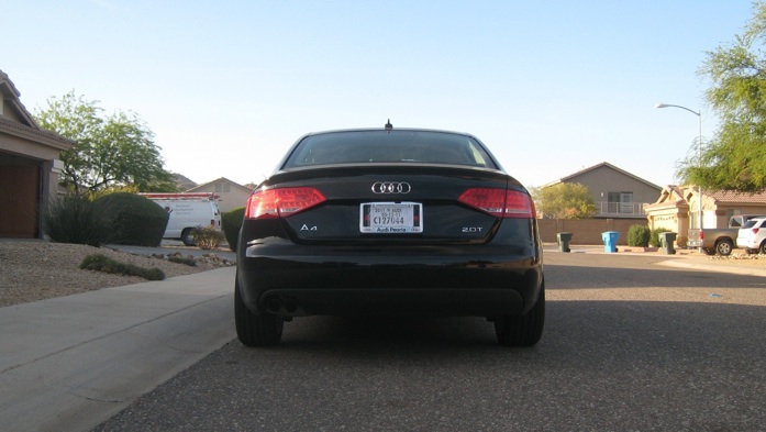 Back View